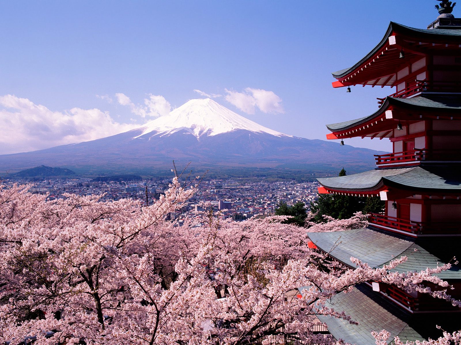 Lancement d’un concours d’écriture et de photos sur le Japon